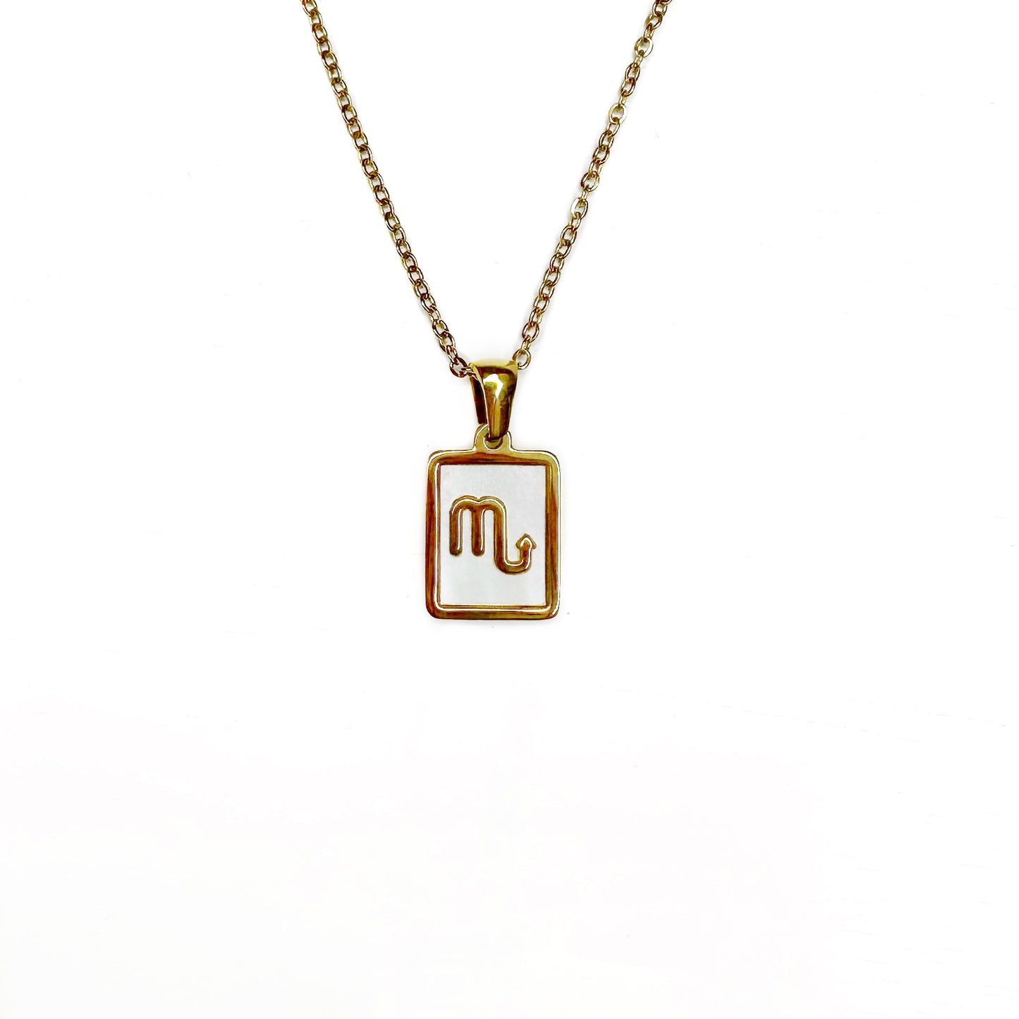 Zodiac Tag Necklace Stainless Steel 14KG And Mother of Pearl