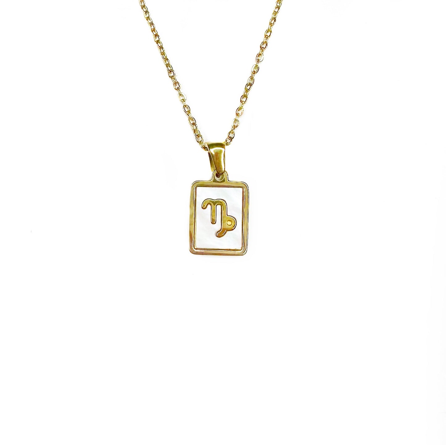 Zodiac Tag Necklace Stainless Steel 14KG And Mother of Pearl
