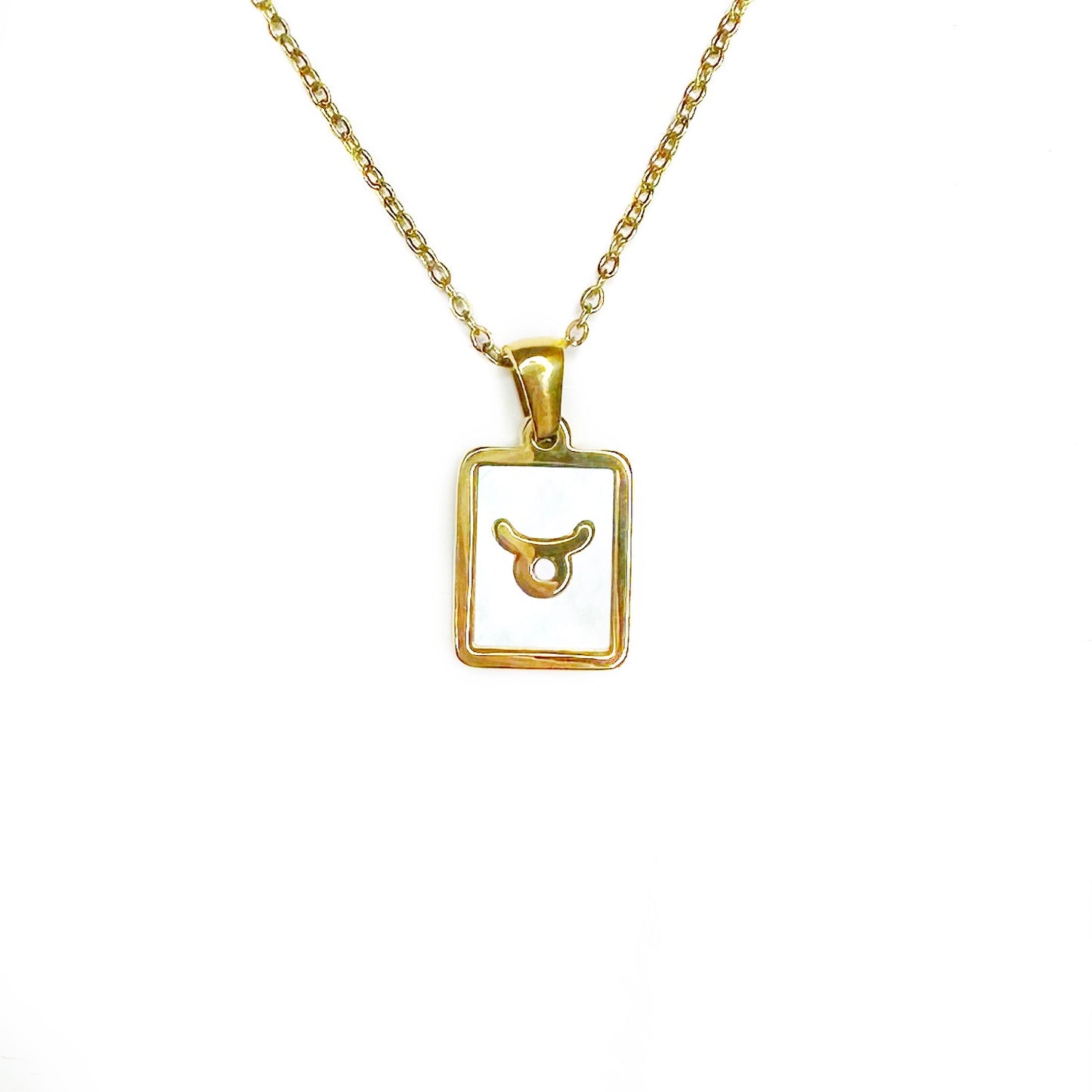 Zodiac Tag Necklace Stainless Steel 14KG And Mother of Pearl