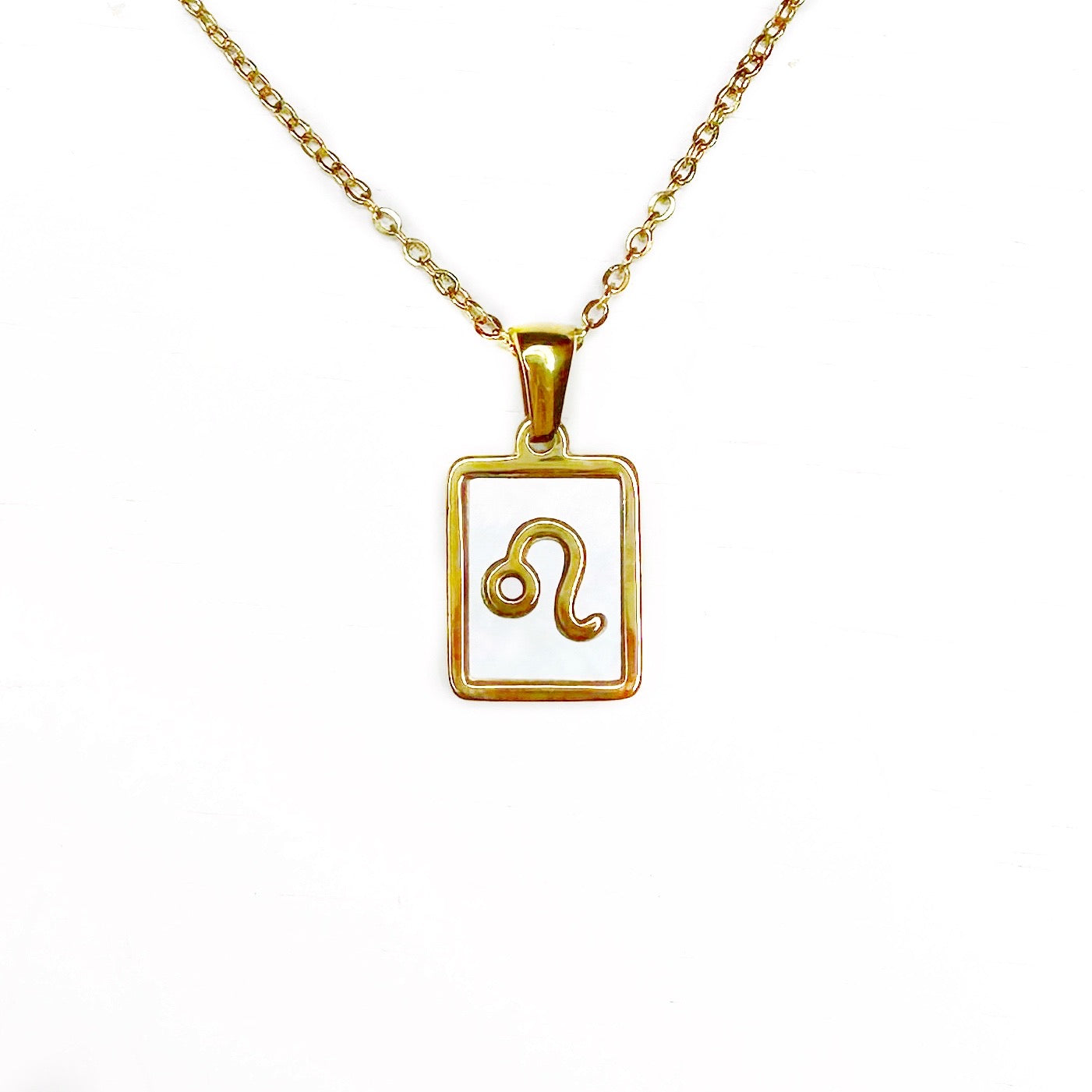 Zodiac Tag Necklace Stainless Steel 14KG And Mother of Pearl