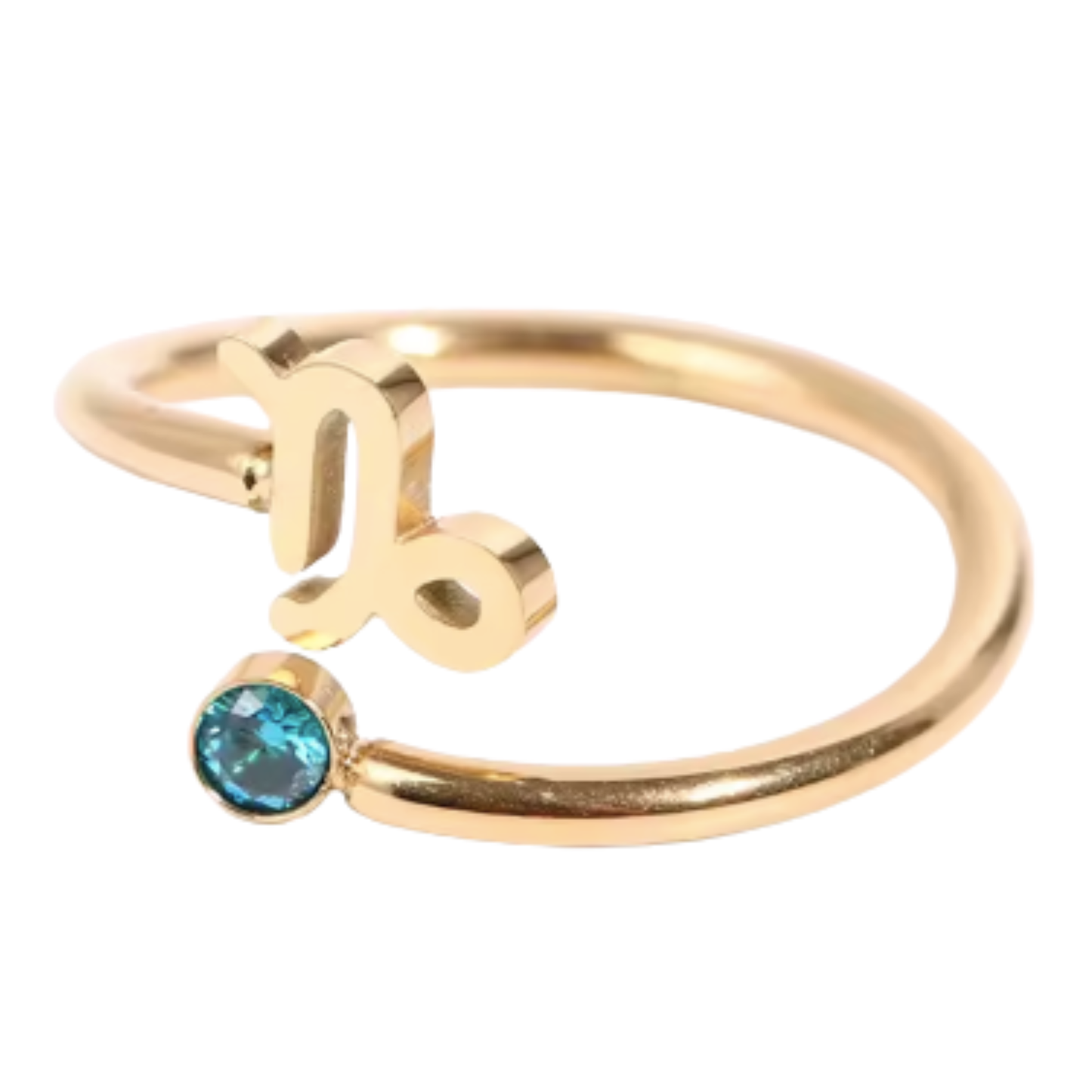 Capricorn Stainless Steel Ring