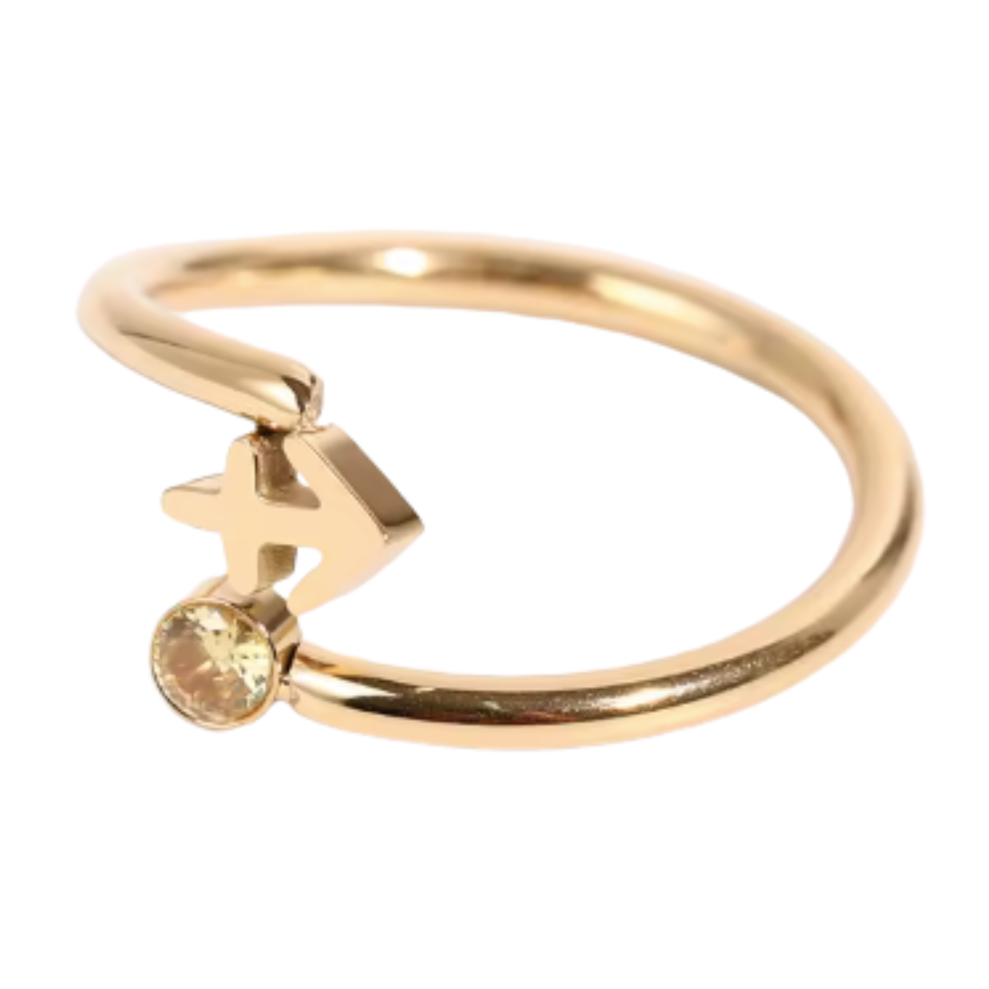 Sagittarius Stainless Steel Ring