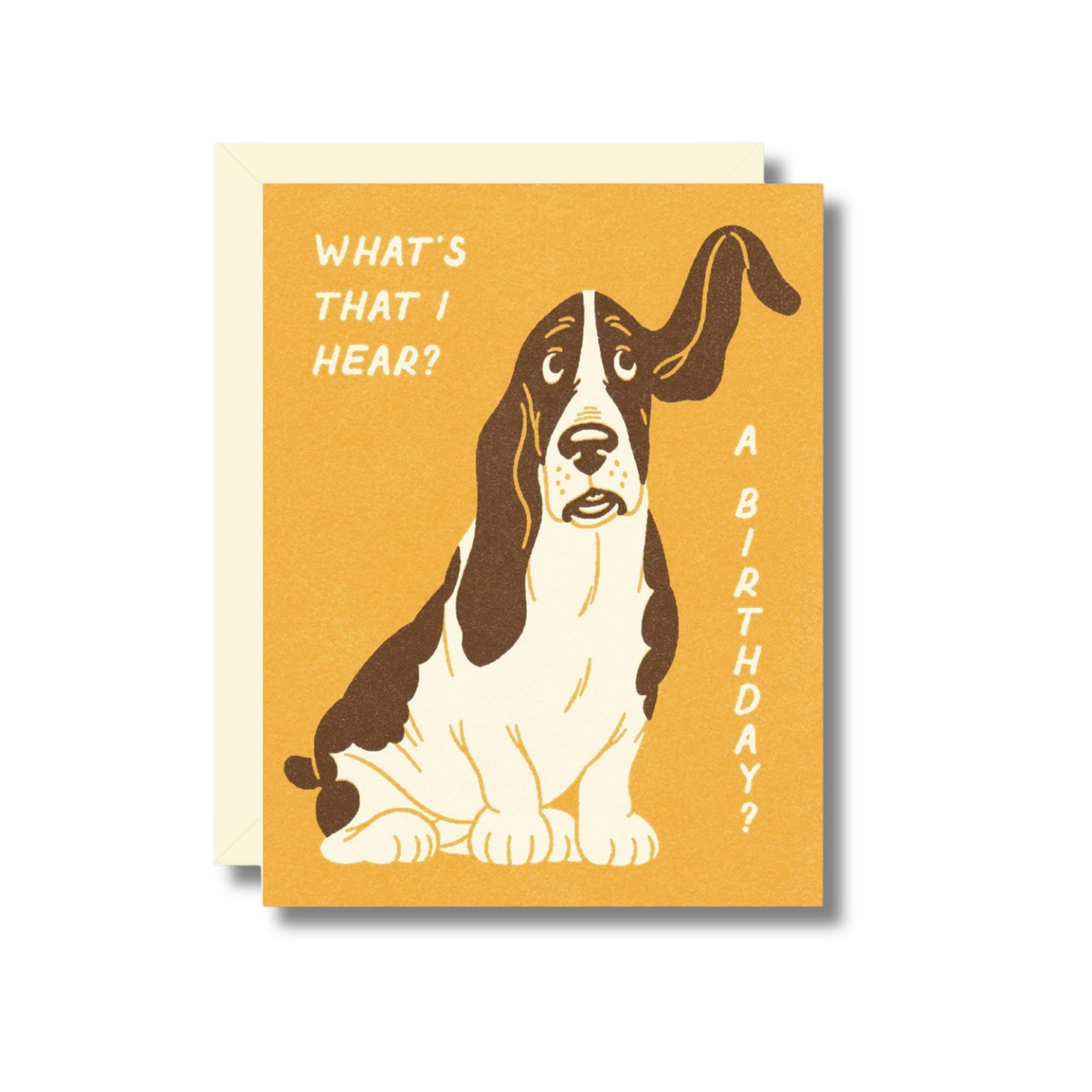 Basset Hound Birthday Card