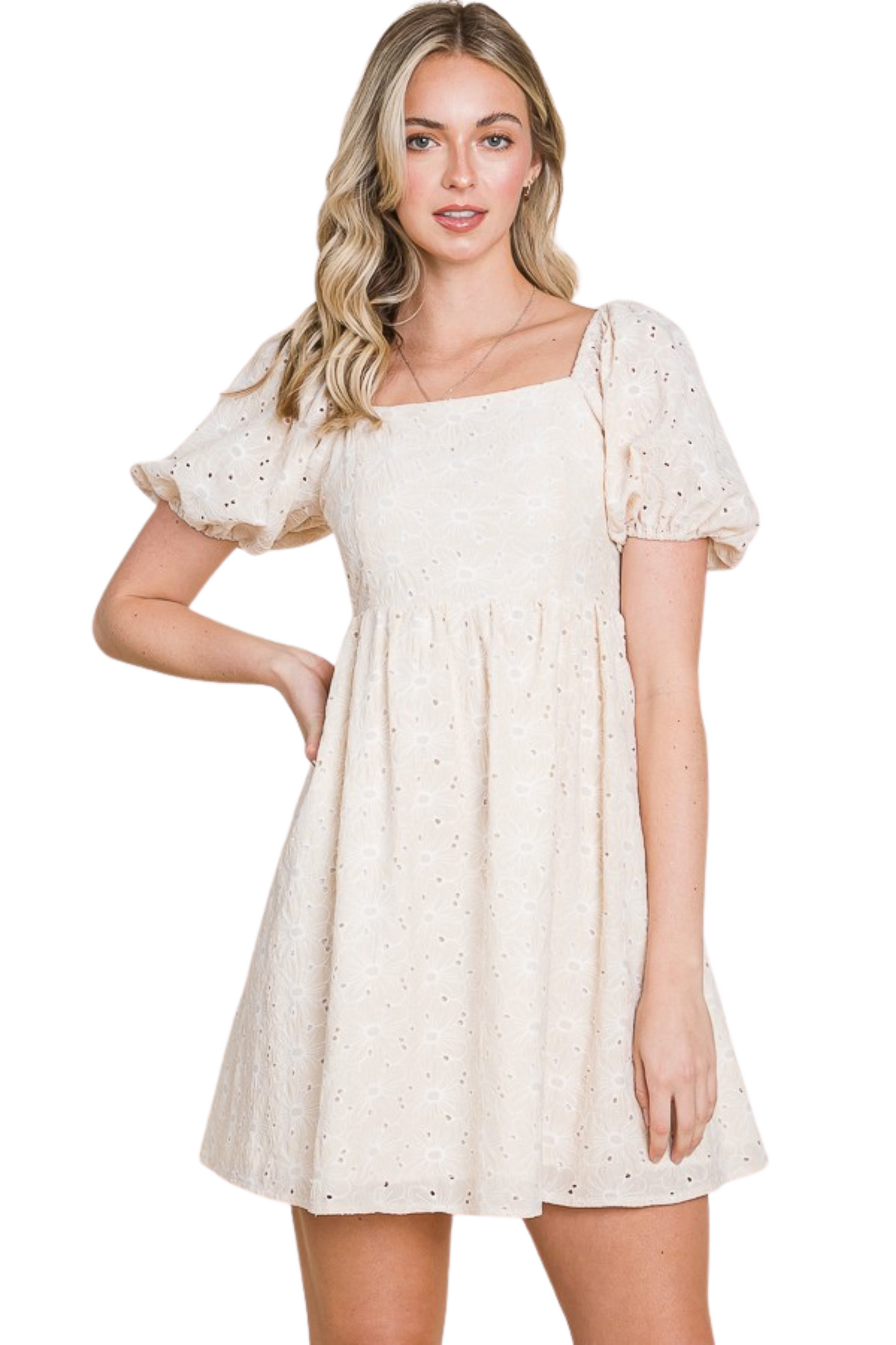 Eyelet Puff Sleeve Mini Dress