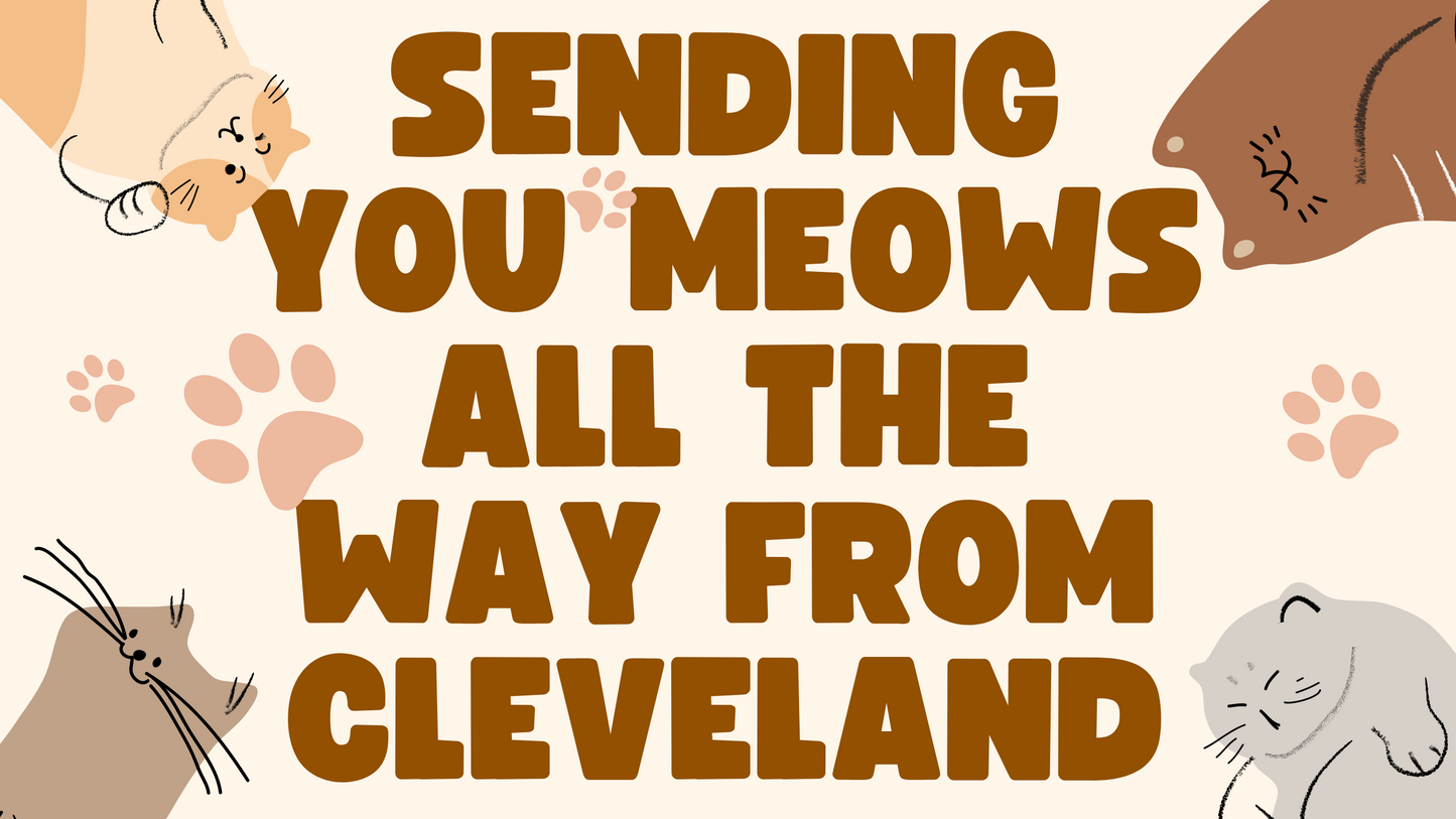 Meows from Cleveland Postcard