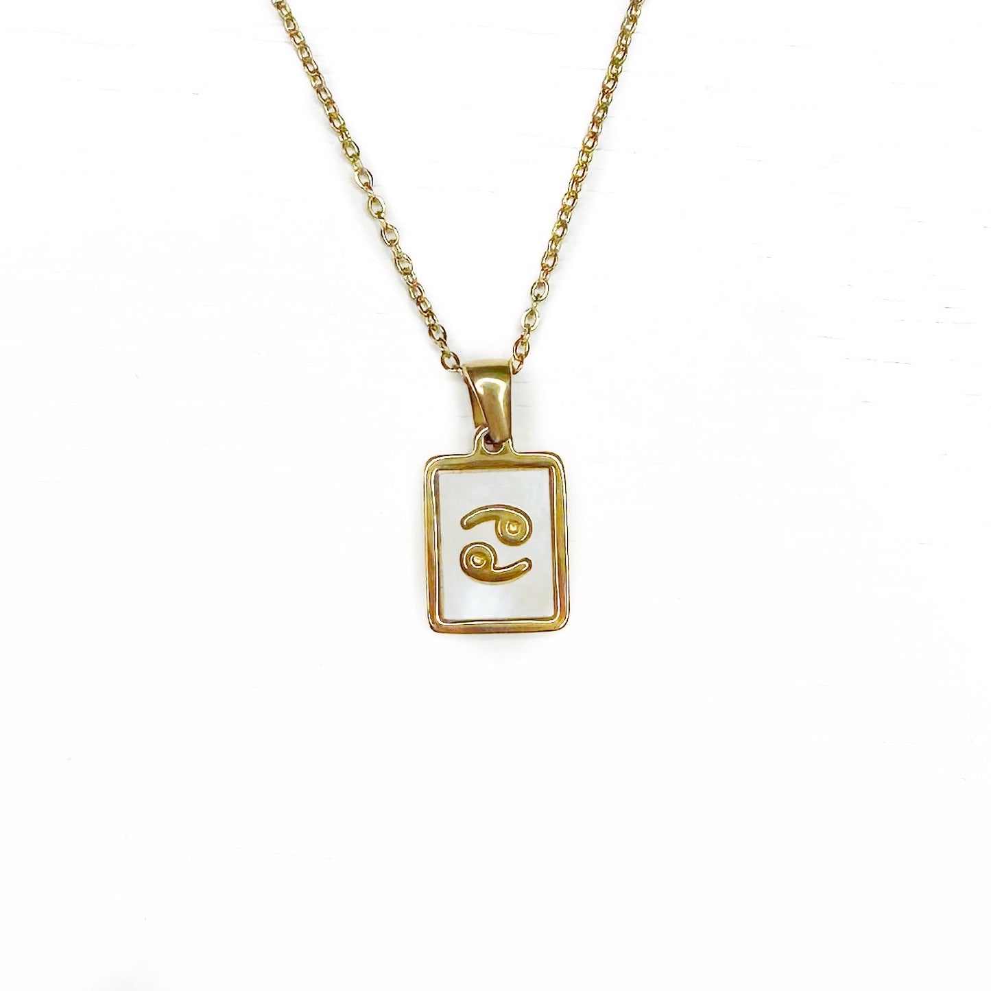 Zodiac Tag Necklace Stainless Steel 14KG And Mother of Pearl