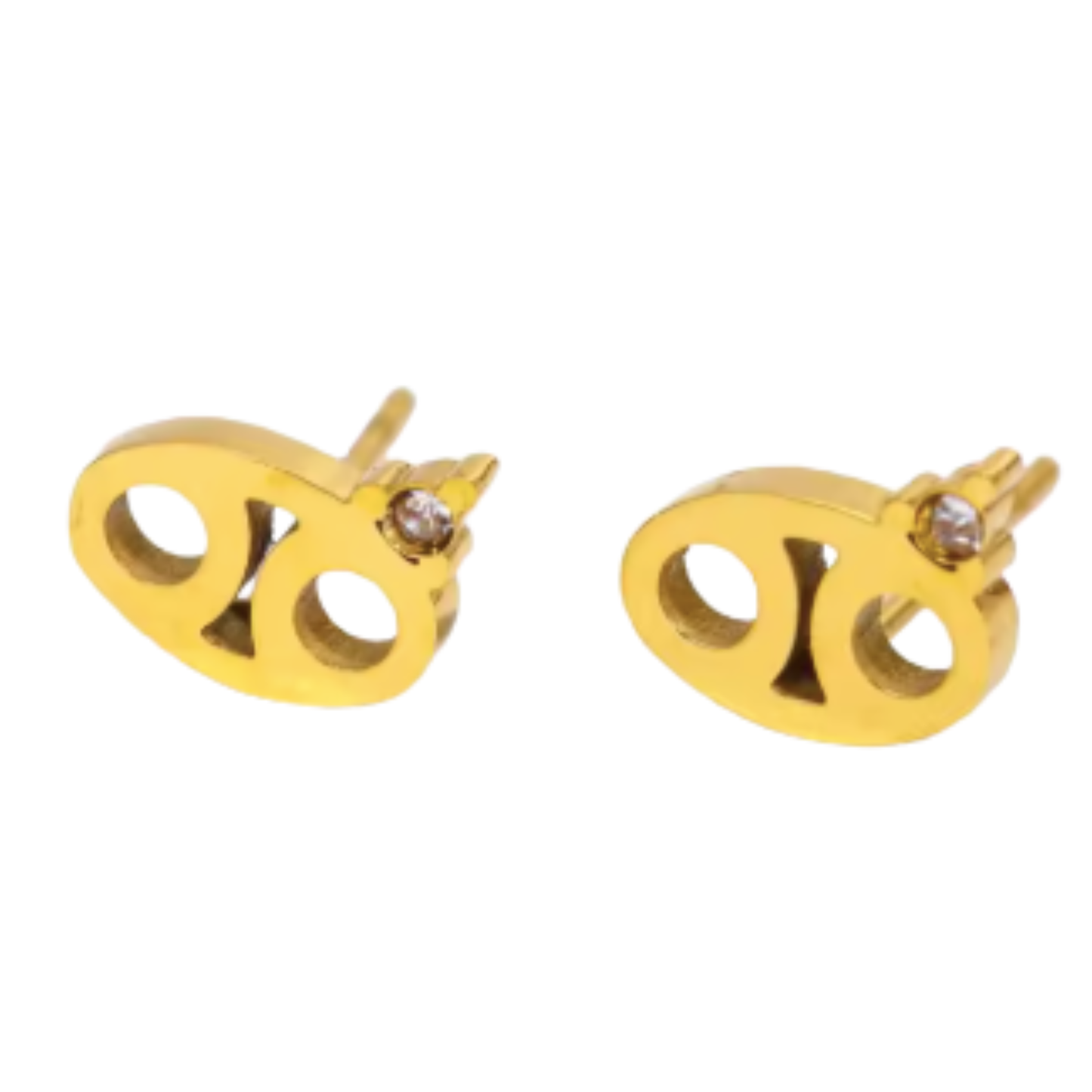 Zodiac Sign Stainless Steel Stud Earrings