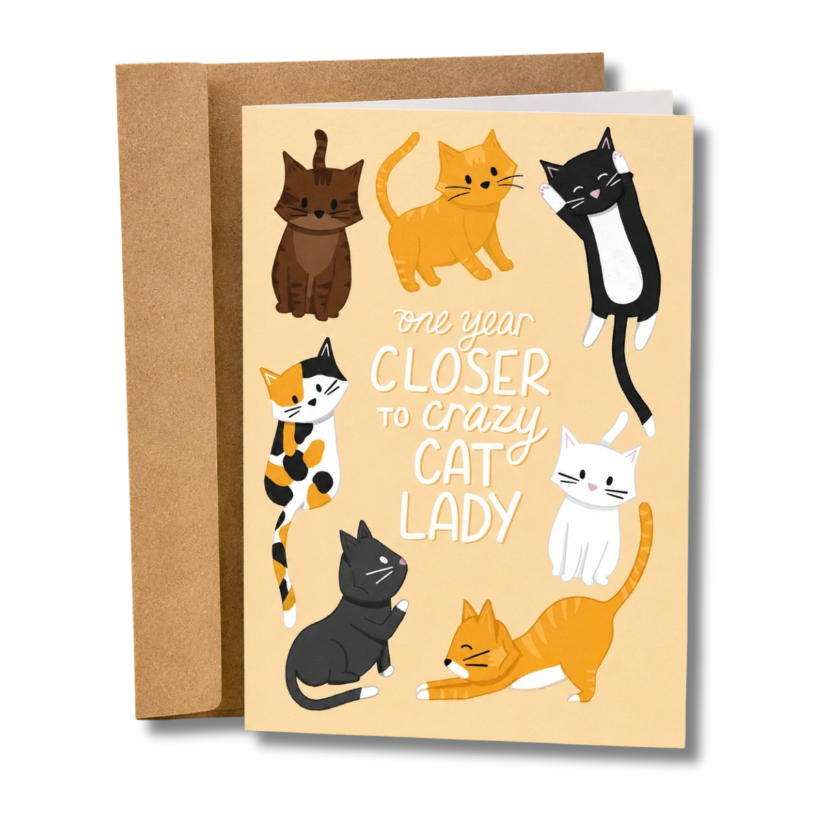 Crazy Cat Lady Funny Birthday Card