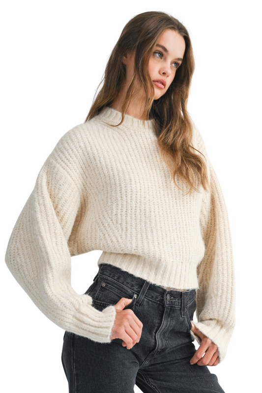 Long Slouchy Sleeve Chunky Ribbed Knit Sweater