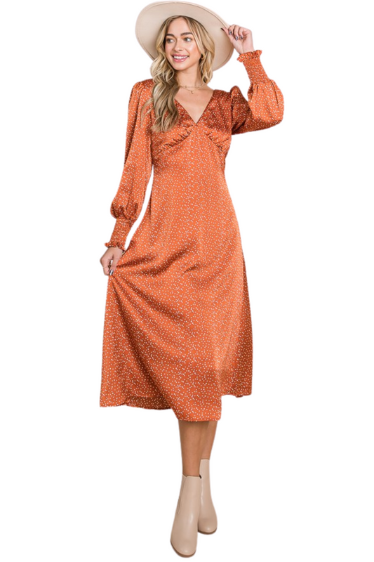Polka Dot Long Sleeve Silky Midi Dress